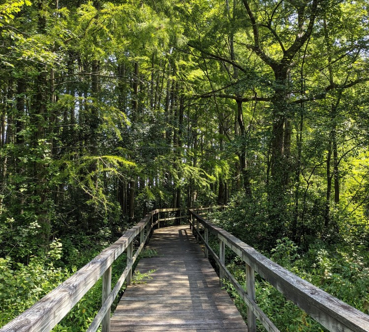 Adkins Mill Park and Nature Walk (Pittsville,&nbspMD)